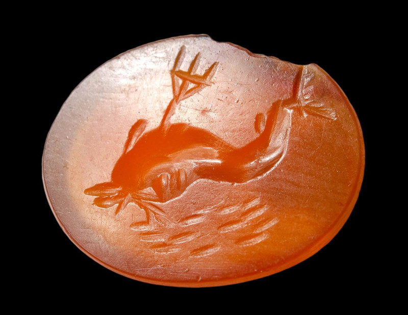 A roman carnelian intaglio. Dolphin with a trident.

2nd century A.D.
9x11x2 ...