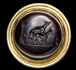 A fine neoclassical  three layer agate intaglio, set in a postclassical gold ring. Two dogs copulating.