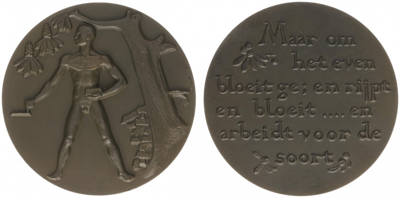 VPK-penningen - 1940 II - Medal 'Opbouw' by H. Richters (Til.159, Begeer1468) - ...