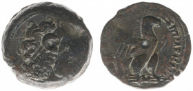 The Ptolemaic Kingdom of Egypt - Ptolemy VIII Euergetes (145-116 BC) - AE30 (uncertain mint on Cyprus, 21.00 g) - Diademed head of Zeus-Ammon right / ...