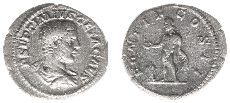 Geta (198-212) - AR Denarius (Rome AD 208, 2.36 g) P SEPTIMIVS GETA CAES, draped...