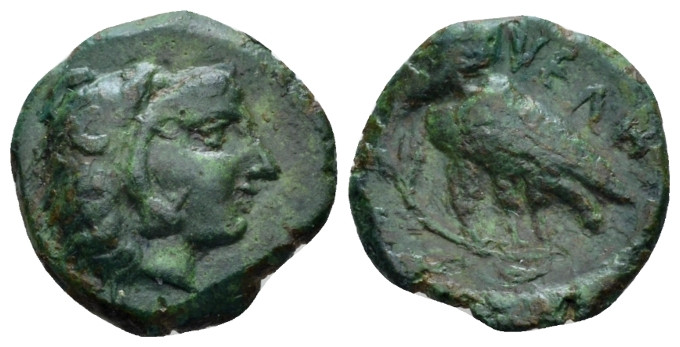 Lucania, Velia Bronze III century BC, &AElig; 15.00 mm.,
 Head of Heracles r., ...