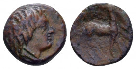 Bruttium, Caulonia Bronze circa 400, AR 10.00 mm., 0.69 g.
 Head of River god. Rev. Stag standing r. Noe 234. SNG Ashmolean 1459.
 
 Extremely rare...