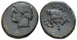 Ionia, Magnesia ad Meandrum Bronze circa 350-190, Æ 19.00 mm., 6.58 g.
Laureate head of Apollo l. Rev. Forepart of bull r. BMC 17-8.

Weakly struck...