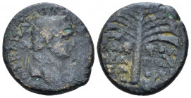 Samaria, Neapolis Domitian, 81-96 Bronze circa 82-83, Æ 20.40 mm., 7.82 g.
Laureate head of Domitian r. Rev. Palm tree; in field, L AI. Rosenberger 5...