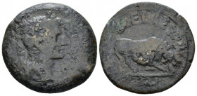 Egypt, Alexandria. Dattari. Octavian as Augustus, 27 BC – 14 AD Diobol circa 8-9 (year 38), Æ 20.60 mm., 9.08 g.
Laureate head r. Rev. ΣΕΒΑΣΤΟV Bull ...