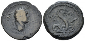 Egypt, Alexandria. Dattari. Domitian, 81-96 Diobol circa 95-96 (year 15), Æ 25.10 mm., 7.66 g.
Laureate head r. Rev. Agathadaemon erect r., with corn...