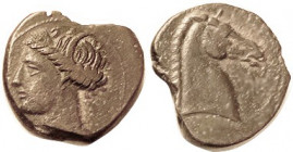 CARTHAGE, Æ20, 3rd cent BC, Tanit head l./horse head r, Punic letter; VF, very irregular flan, obv off-ctr but both heads strong & complete, darkish b...