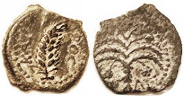 JUDAEA, Coponius, Procurator under Augustus, AD 6-9, Prutah, Barley ear/Palm, Hend.1328; VF, rev sl off-ctr on unround flan, dark patina with some ear...
