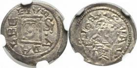 Bolislaus IV, Denarius (nieopisany) R2