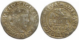 Sigismund II Augustus, Groschen 1555, Vilnius RR/R5/12Mk