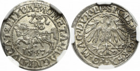 Sigismund II Augustus, Halfgroat 1547, Vilnius - LI/LITVA NGC MS64