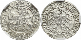 Sigismund II Augustus, Halfgroat 1556, Vilnius R