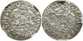 Sigismund II Augustus, Half-groat 1557, Vilnius - LI/LITVA NGC MS65 2-MAX
