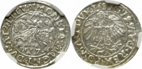 Sigismund II Augustus, Half-groat 1557, Vilnius - L/LITVA NGC MS61