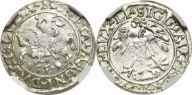 Sigismund II Augustus, Halfgroat 1559, Vilnius (nieopisany)
