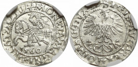 Sigismund II Augustus, Halfgroat 1560, Vilnius - LI/LITVA 2-MAX