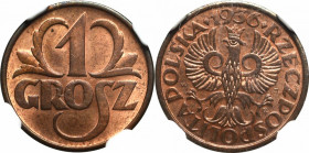 II Republic of Poland, 1 groschen 1936 - NGC MS64 RB