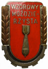 PRL, Odznaka Wzorowy Moździerzysta wz.51