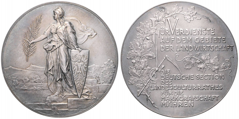 FRANZ JOSEPH I (1848 - 1916)&nbsp;
Silver medal Award for Contribution to Agric...