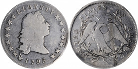 1795 Flowing Hair Silver Dollar. BB-21, B-1. Rarity-2. Two Leaves. VG Details--Streak Removed (PCGS).

The Bowers-Borckardt 21 is the most readily o...