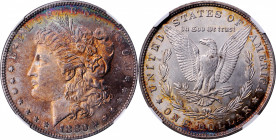 1880 Morgan Silver Dollar. VAM-6. Top 100 Variety. Second 8/7, Spikes Overdate. MS-63 (NGC).

This is one of the interesting overdate varieties with...