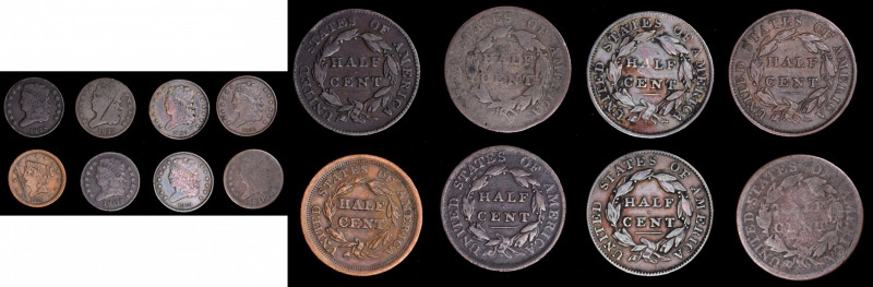 Lot of (8) Classic Head and Braided Hair Half Cents.

Included are: Classic He...