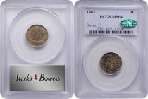 1863 Indian Cent. MS-64 (PCGS). CAC.

PCGS# 2067. NGC ID: 227J.

From the Birdwatcher Type Set, with a portion of the proceeds to benefit The Natu...