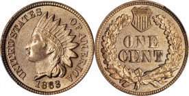 1863 Indian Cent. MS-64 (PCGS).

PCGS# 2067. NGC ID: 227J.