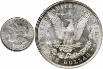 1878 Morgan Silver Dollar. 8 Tailfeathers. MS-62 (NGC).

PCGS# 7072. NGC ID: 253H.