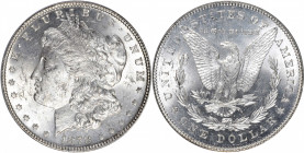 1878 Morgan Silver Dollar. 7/8 Tailfeathers. Weak. MS-63 (ICG).

PCGS# 7070.