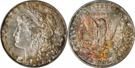1878-S Morgan Silver Dollar. MS-64 (PCGS).

PCGS# 7082. NGC ID: 253R.