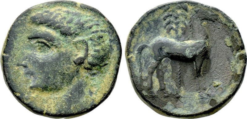 IBERIA. Punic Iberia. Ae Unit (Circa 237-209 BC). 

Obv: Bare male head left....