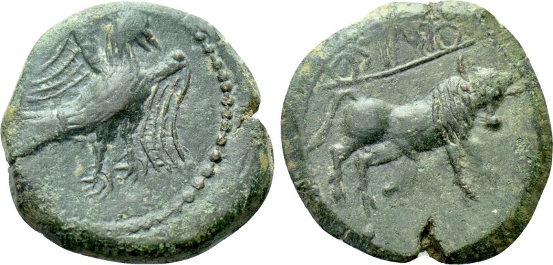 IBERIA. Obulco. Ae Semis (Late 3rd century BC). 

Obv: Eagle standing right wi...