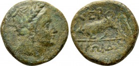 TAURIC CHERSONESOS. Chersonesos. Ae (Circa 190-180 BC). Heroida-, magistrate.