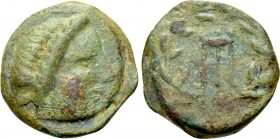 ELIS. Zakynthos. Ae (2nd-1st centuries BC).