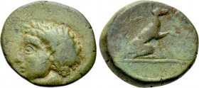 CRETE. Kydonia. Ae (Circa 4th century BC).
