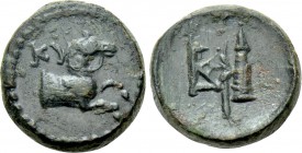 AEOLIS. Kyme. Ae (1st century BC).