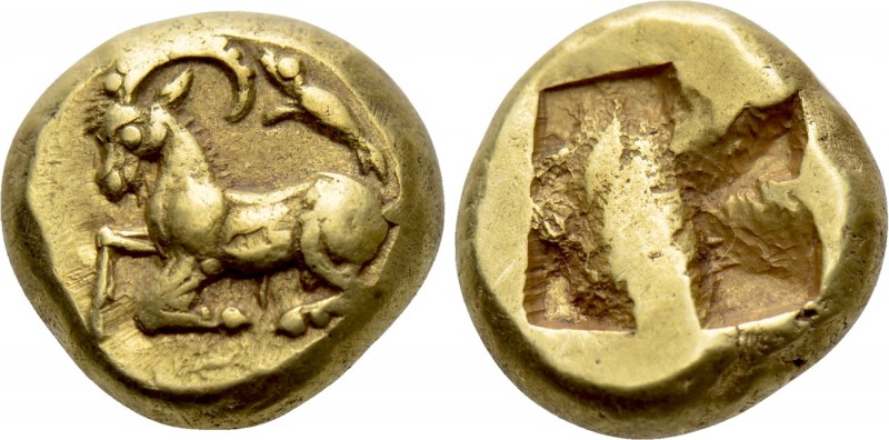 IONIA. Phokaia. EL Hekte (Circa 625/0-522 BC).

Obv: Goat half-kneeling left; ...