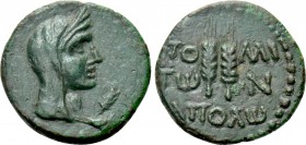 MOESIA INFERIOR. Tomis. Pseudo-autonomous (1st century). Ae. Apolo-, magistrate.