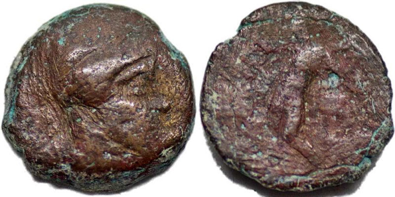 SELEUKID KINGS, Antiochos III. 222-187 BC. Æ (2.03g).Seleucia on the Tigris .