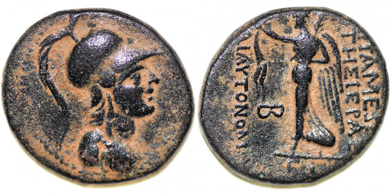 Syria, Seleukis and Pieria. Apameia. civic issue. Under Rome, 1st century B.C AE...