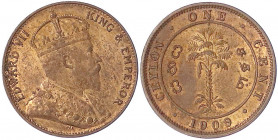 Ceylon
Britische Kolonie, 1796-1972
Cent 1909. prägefrisch, Prachtexemplar. Krause/Mishler 102.