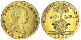 Würzburg
Maximilian IV. Joseph von Bayern, 1803-1805
Neujahrsgoldgulden 1803 SPQW. Brustb. n.r./Wappen vor Palme, daneben S.P.-Q.W. 3,27 g. prägefri...