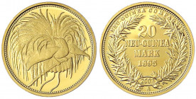 Neuguinea
Neu-Guinea Compagnie
Neuprägung zum 20 Neu-Guinea Mark-Stück 1895 A (2003). 3,56 g. 585/1000. Polierte Platte. Jaeger NP zu 709.