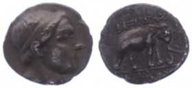 320 - 280 v. Chr.
Griechische Münzen, Metapont. Nomos. 3,34g
ss