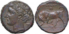 SICILIA Siracusa - Gerone II (274-216 a.C.) AE - Testa di Persefone a s. - R/ Toro cozzante - AE (g 5,55) Leggeri ritocchi
BB