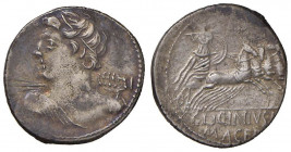 Licinia - C. Licinius L. f. Macer - Denario (84 a.C.) Busto di Apollo a s. - R/ Minerva su quadriga a d. - B. 16; Cr. 354/1 AG (g 3,91) Piccole screpo...