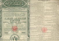 Credit Agricol d’Egypte - Il Cairo 1° novembre 1934 (azione n.07077) corredato di 17 cedole
SPL
