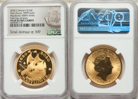Elizabeth II gold Proof "Mayflower 400th Anniversary" 100 Pounds (1 oz) 2020 PR69 Ultra Cameo NGC, KM-Unl. Mintage 500. First day of Issue. AGW 1.000 ...